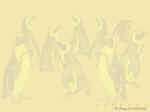 Wall_P_5.jpg (36235 oCg)